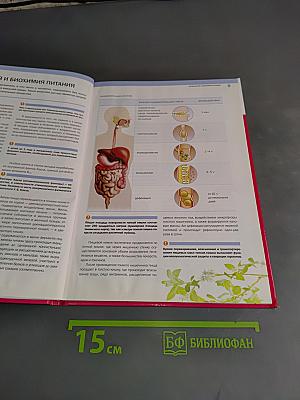 Семейная диетология