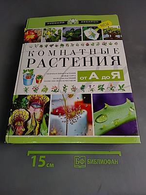 Комнатные растения от А до Я