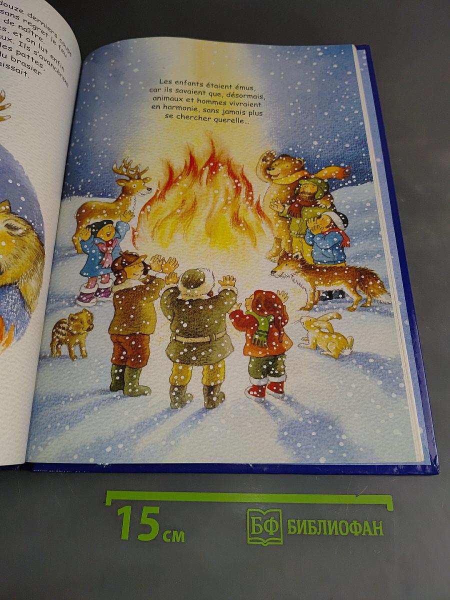 Noël enchanté
