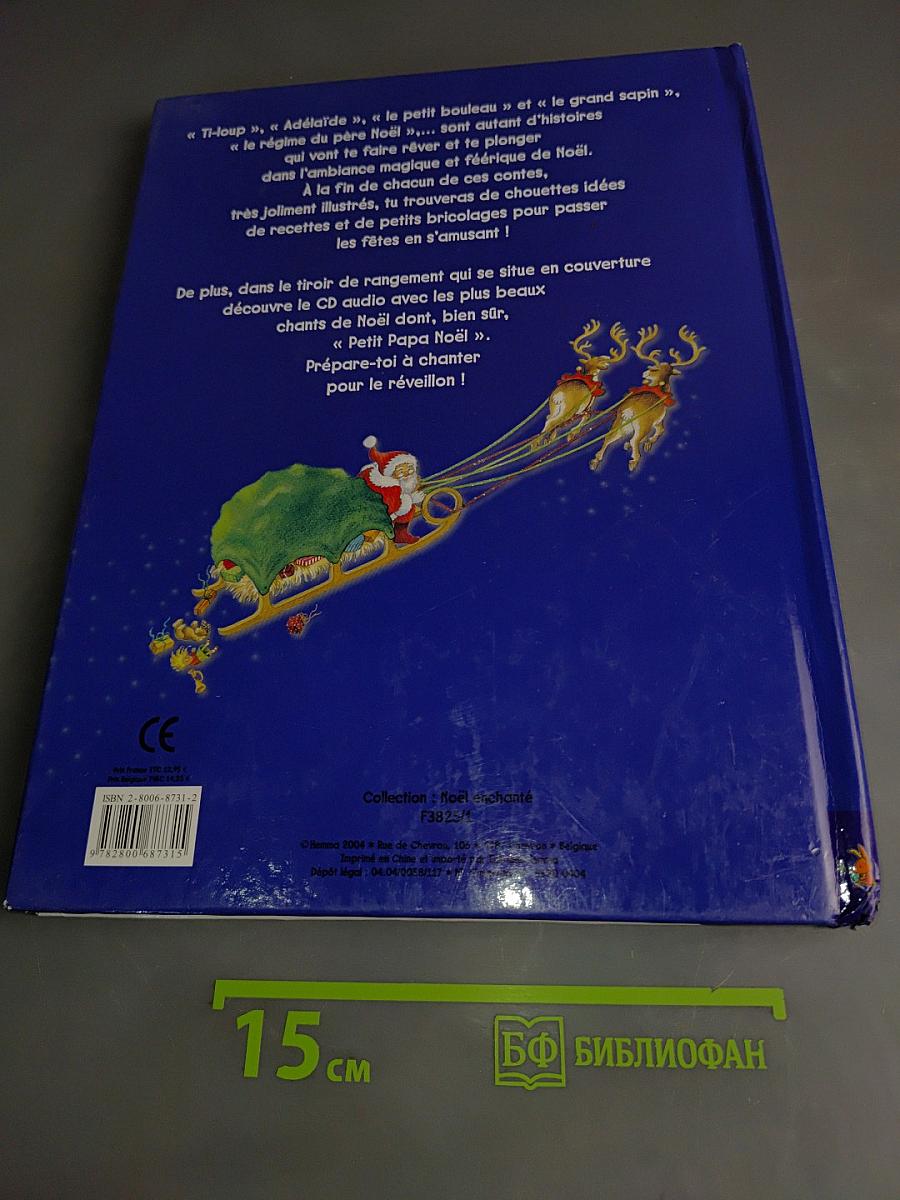 Noël enchanté
