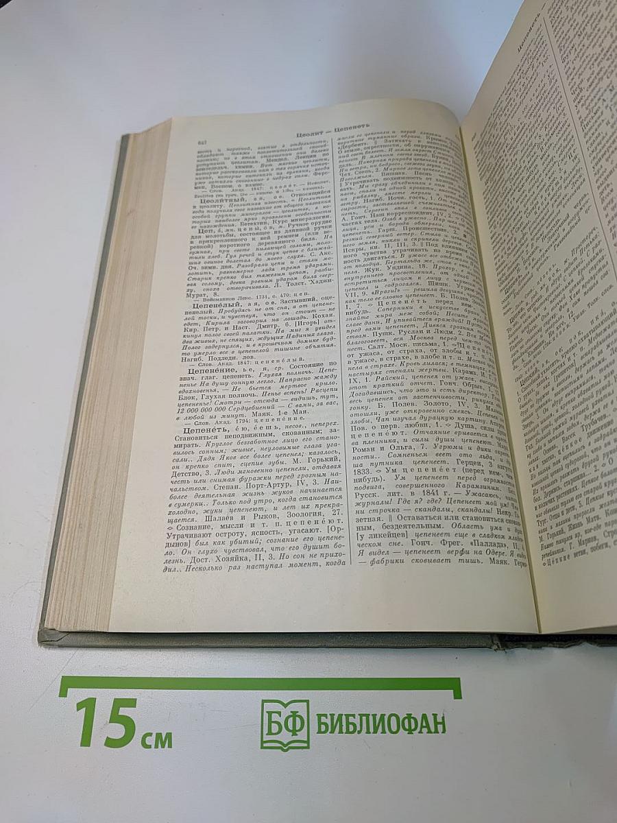 Словарь современного русского литературного языка