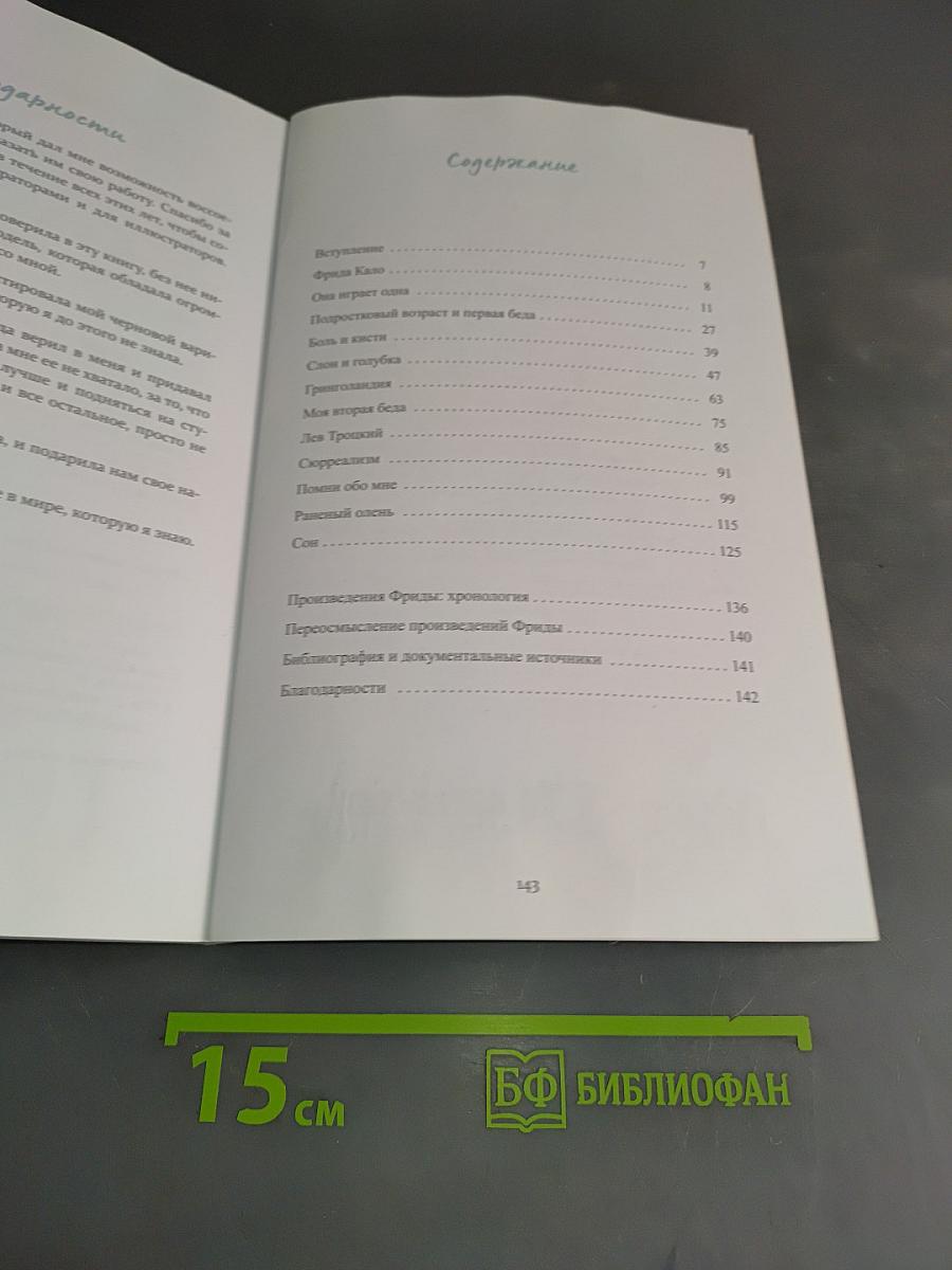 Фрида Кало. Биография в комиксах