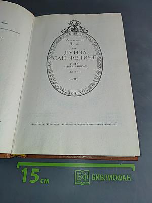 Луиза Сан-Феличе. Роман в двух книгах. Книга 1