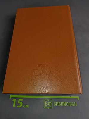 Луиза Сан-Феличе. Роман в двух книгах. Книга 1