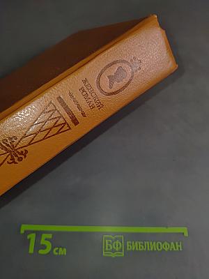 Луиза Сан-Феличе. Роман в двух книгах. Книга 1