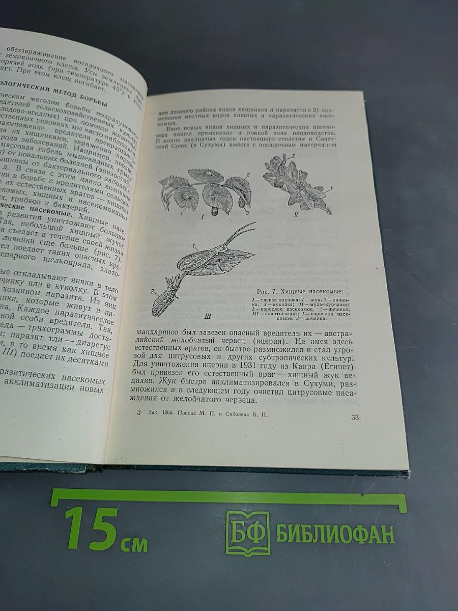 Вредители и болезни плодово-ягодных культур и винограда