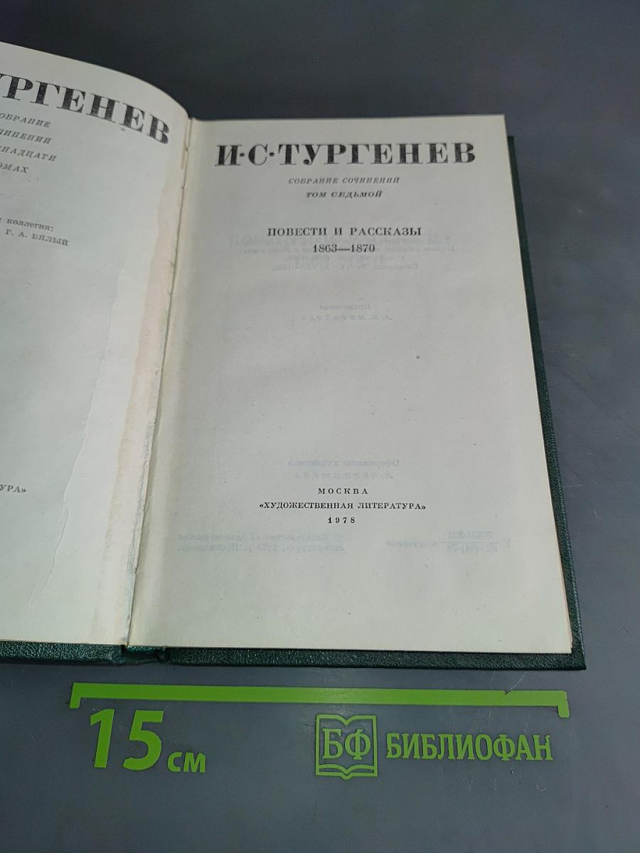 Повести и рассказы. 1863–1870. Том седьмой