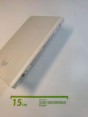 Анжелика в Новом Свете. Книга первая