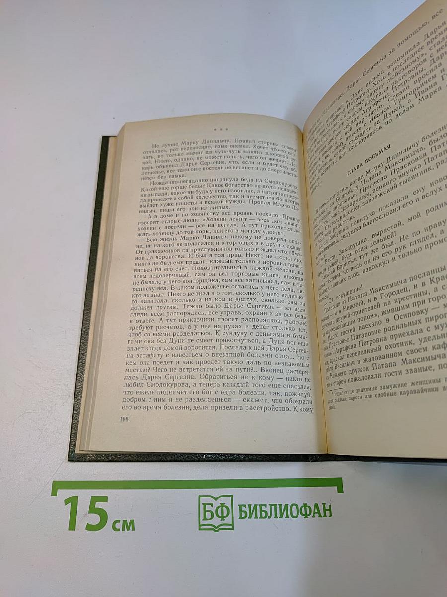 На горах. Книга вторая
