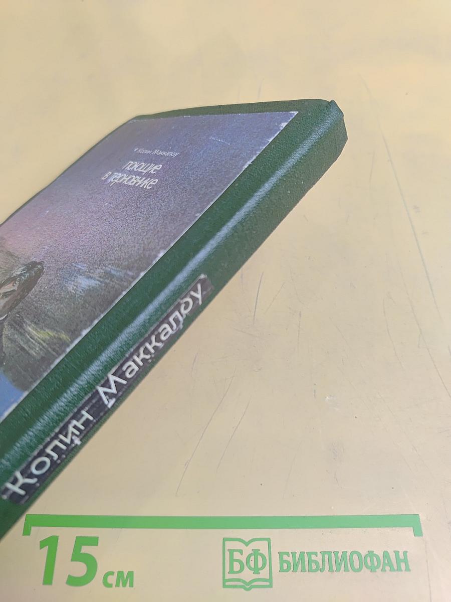 Поющие в терновнике