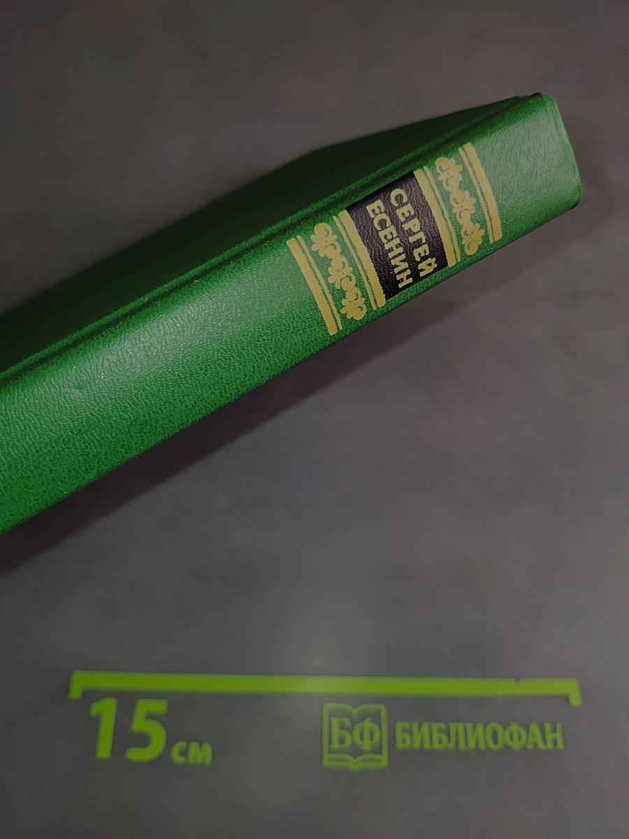 Собрание сочинений в двух томах. Том 2. Стихотворения, проза, статьи, письма