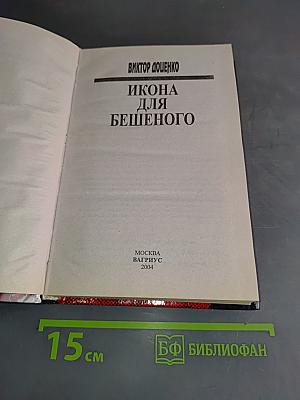 Икона для бешеного