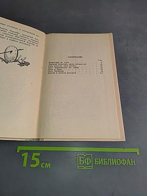Куликовская битва