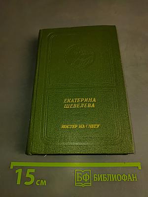 Костер на снегу
