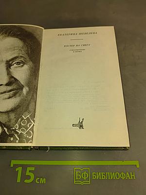Костер на снегу