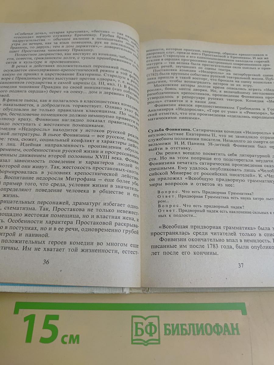 Русская литература. Учебник для 8 класса средней школы