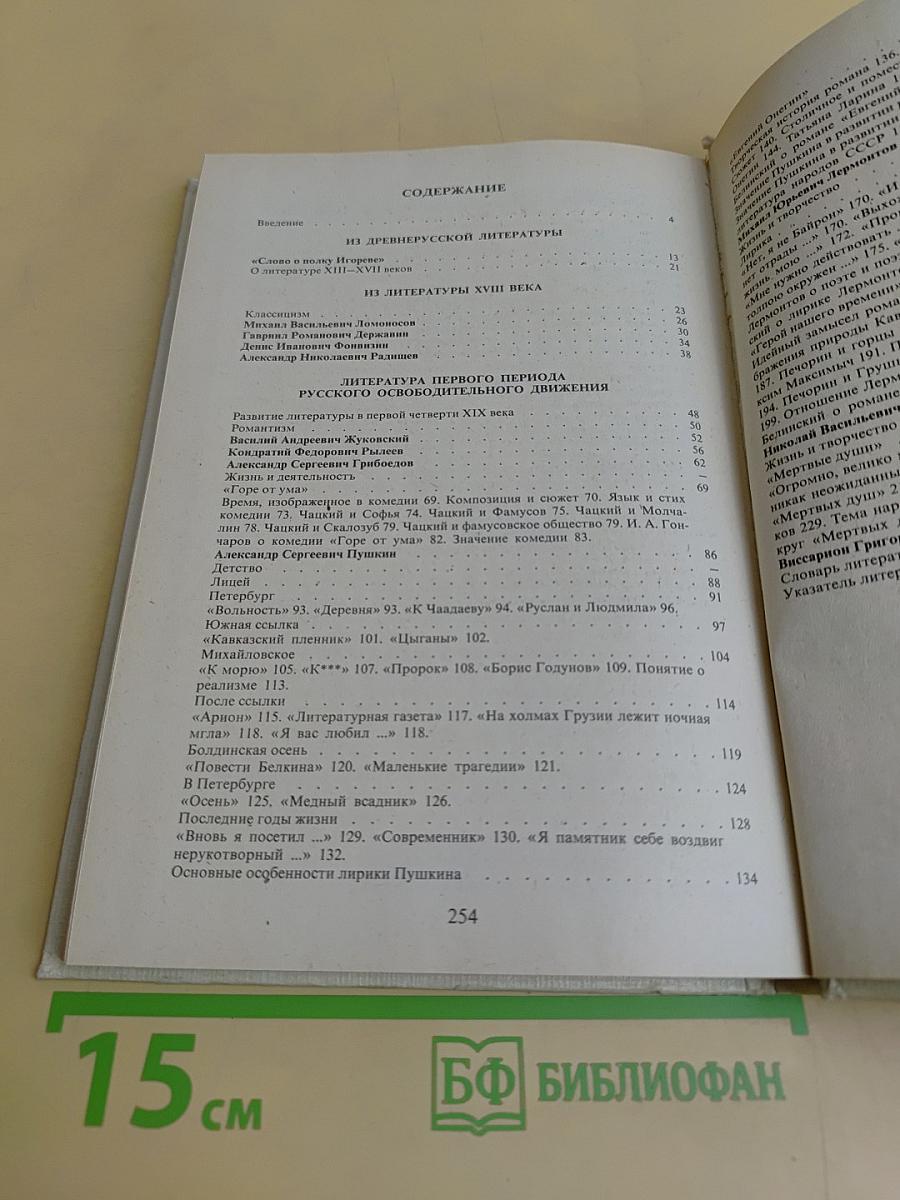 Русская литература. Учебник для 8 класса средней школы