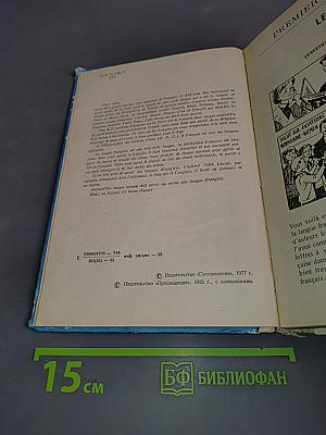 Manuel de français VI