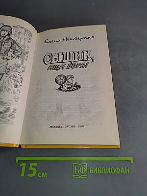 Сыщик, ищи вора!