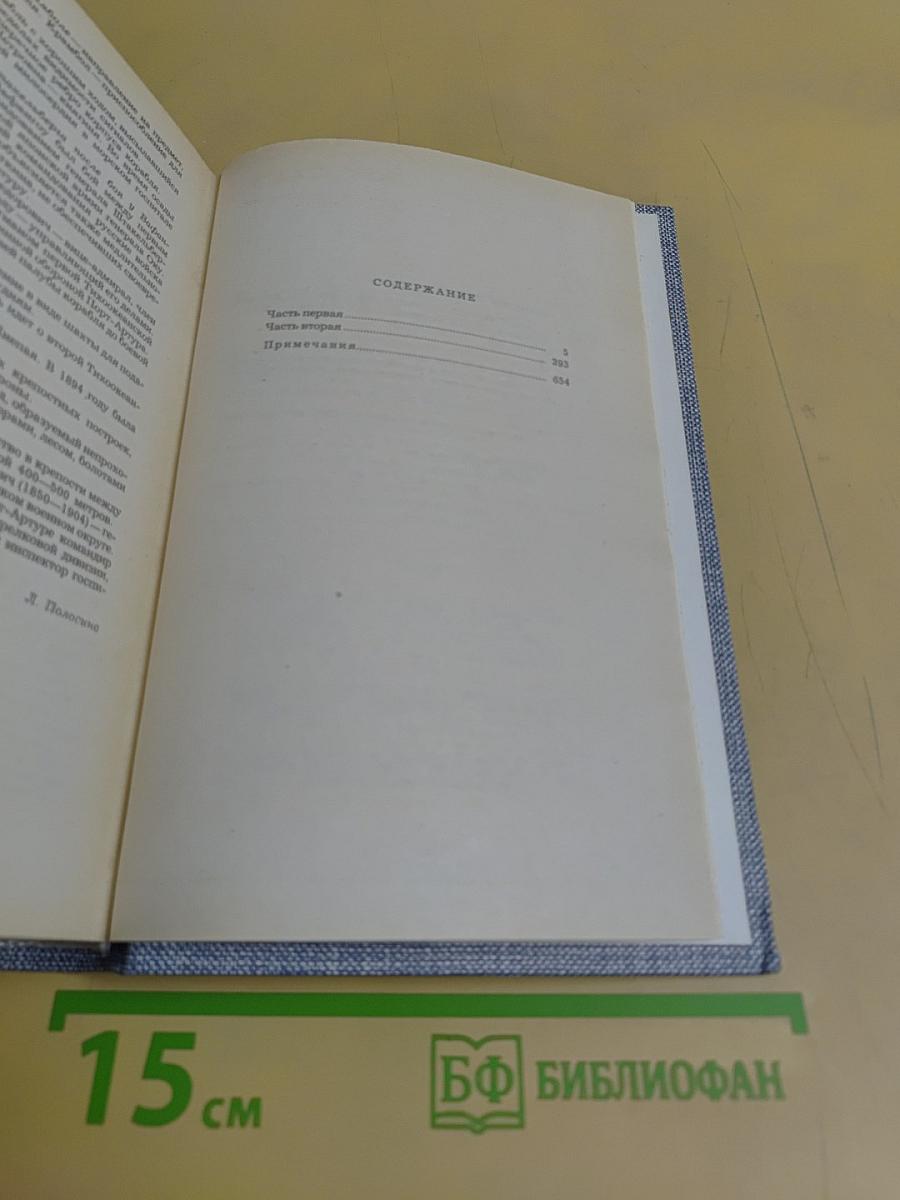 Порт-Артур. Роман в двух книгах. Книга первая
