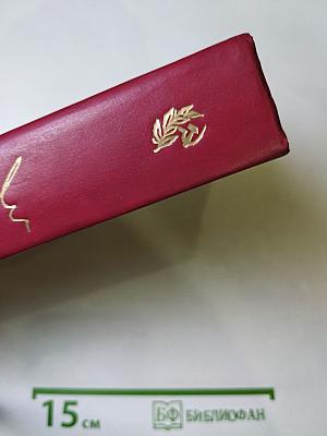 Полководец