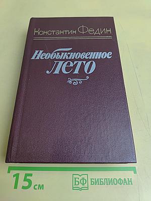 Необыкновенное лето