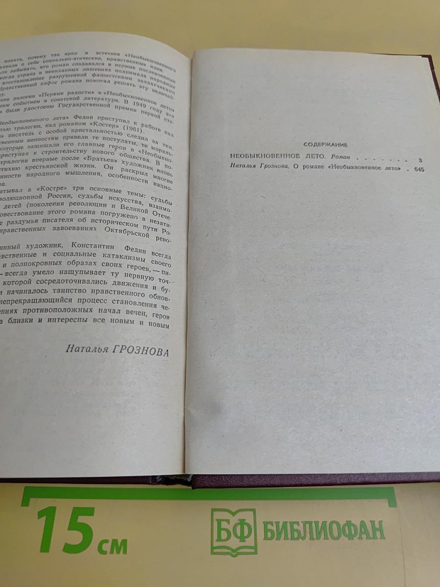 Необыкновенное лето