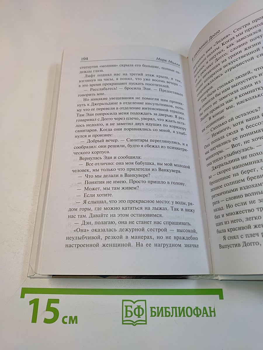 В ожидании догго