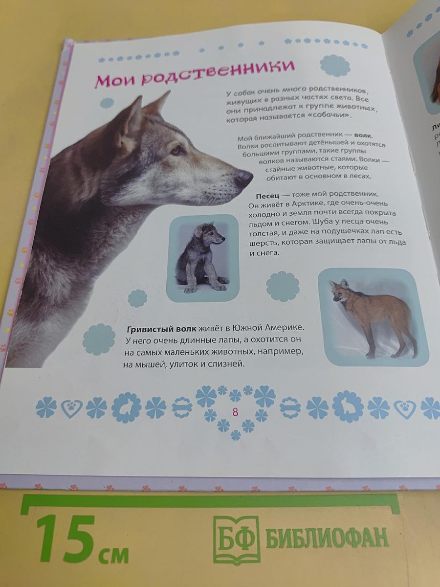 Домашние питомцы. Детская энциклопедия
