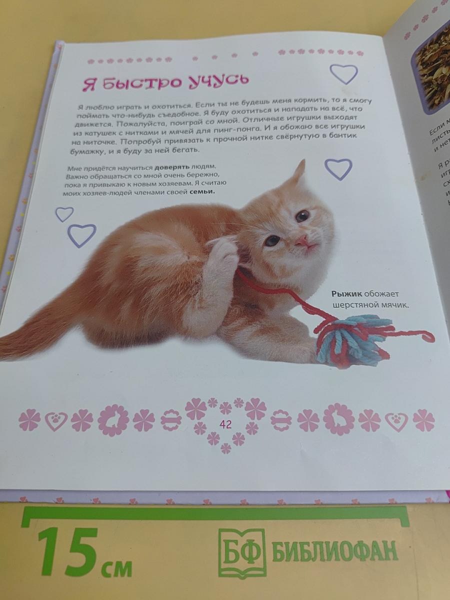 Домашние питомцы. Детская энциклопедия