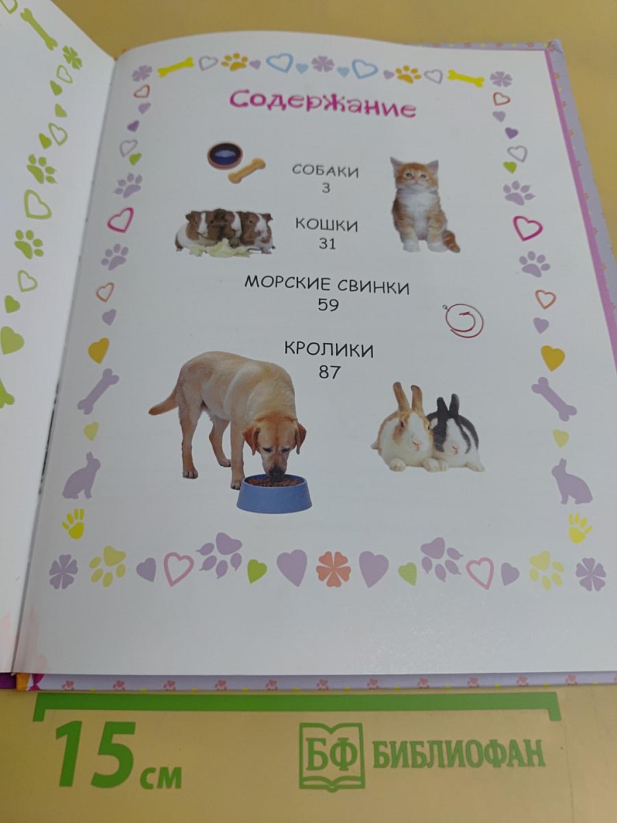 Домашние питомцы. Детская энциклопедия