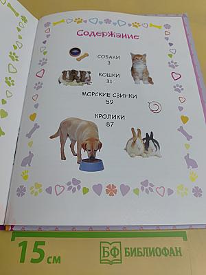 Домашние питомцы. Детская энциклопедия
