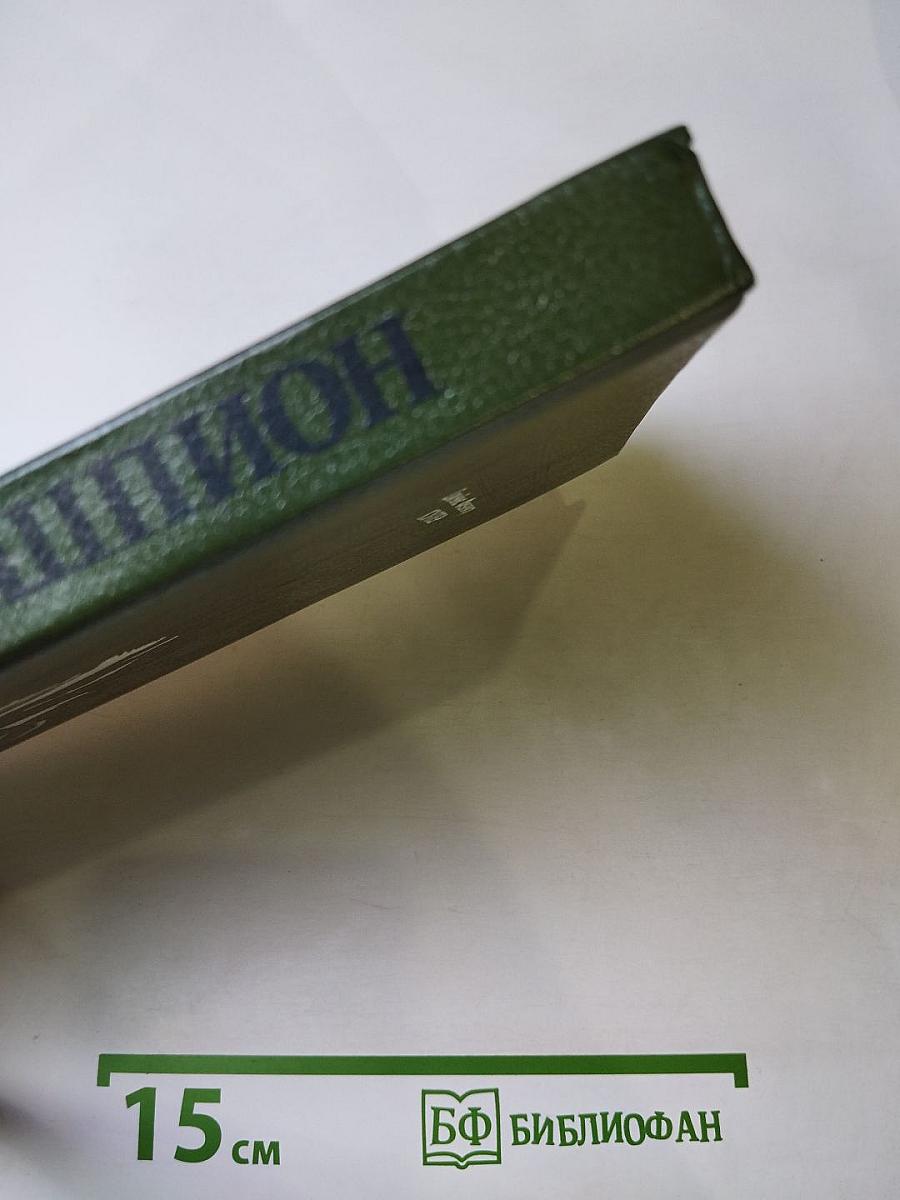 Шпион, или Повесть о нейтральной территории