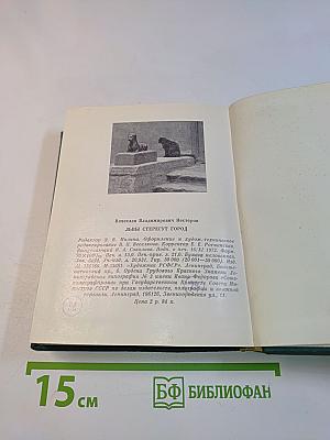 Львы стерегут город