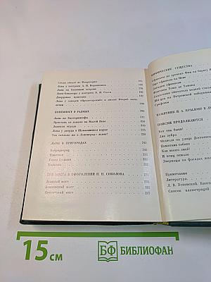 Львы стерегут город