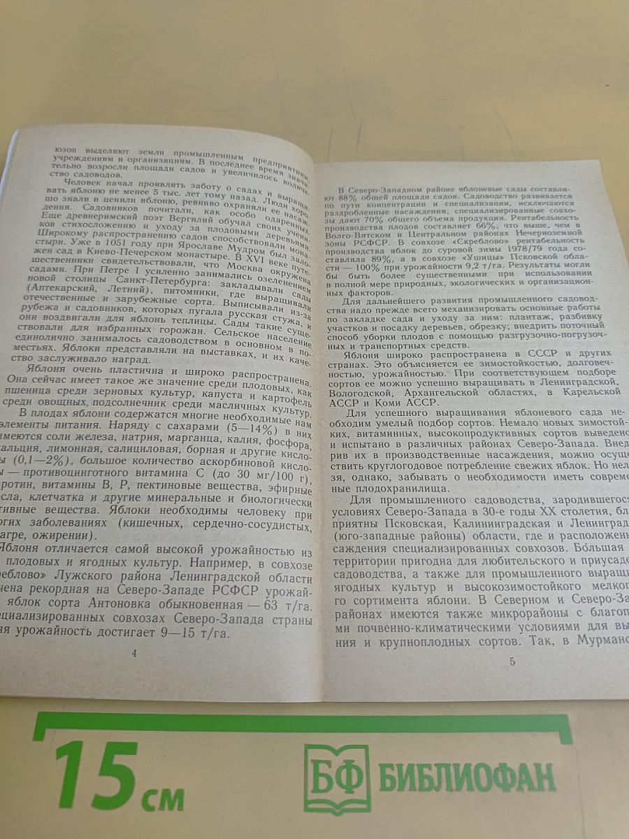 Яблоневый сад