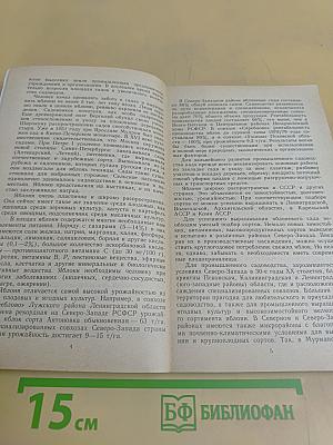 Яблоневый сад