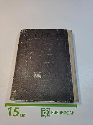 Портрет лейтенанта