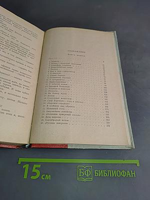 Северное сияние. Исторический роман в двух книгах. Книга первая