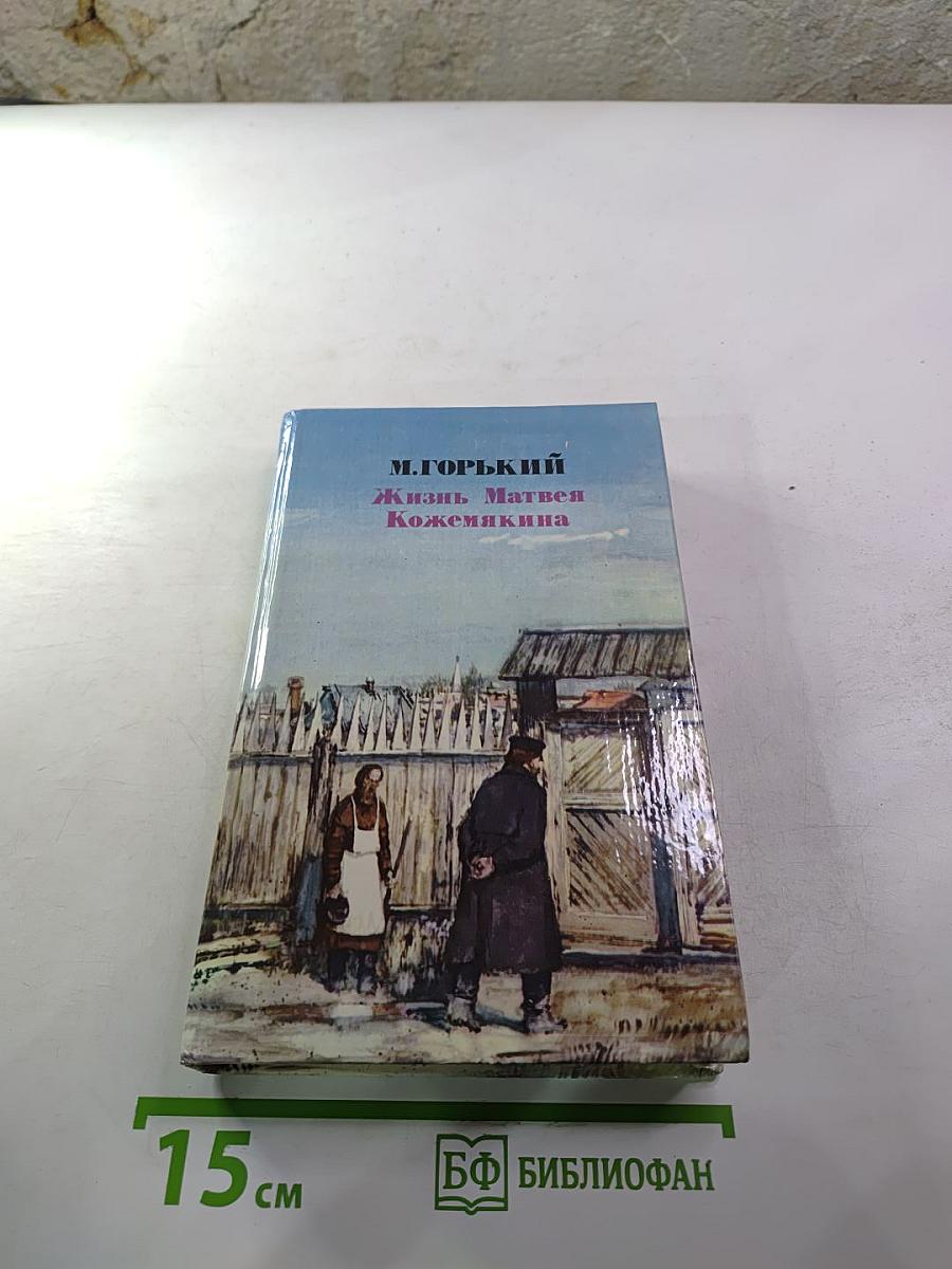 Жизнь Матвея Кожемякина