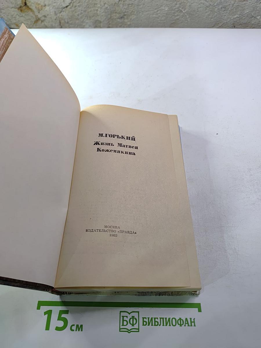 Жизнь Матвея Кожемякина