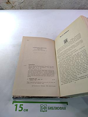 Жизнь Матвея Кожемякина