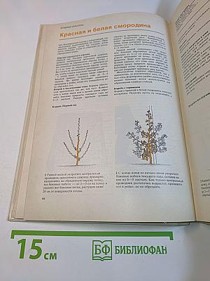 Плодовые культуры
