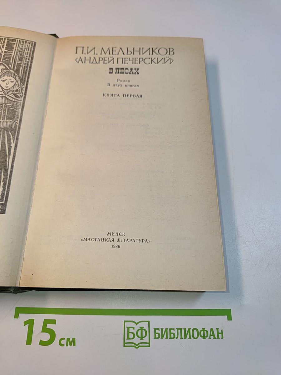 В лесах. Книга первая