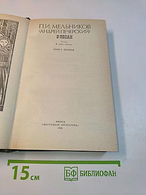 В лесах. Книга первая