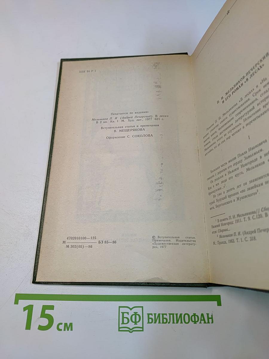 В лесах. Книга первая