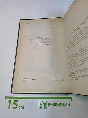 В лесах. Книга первая