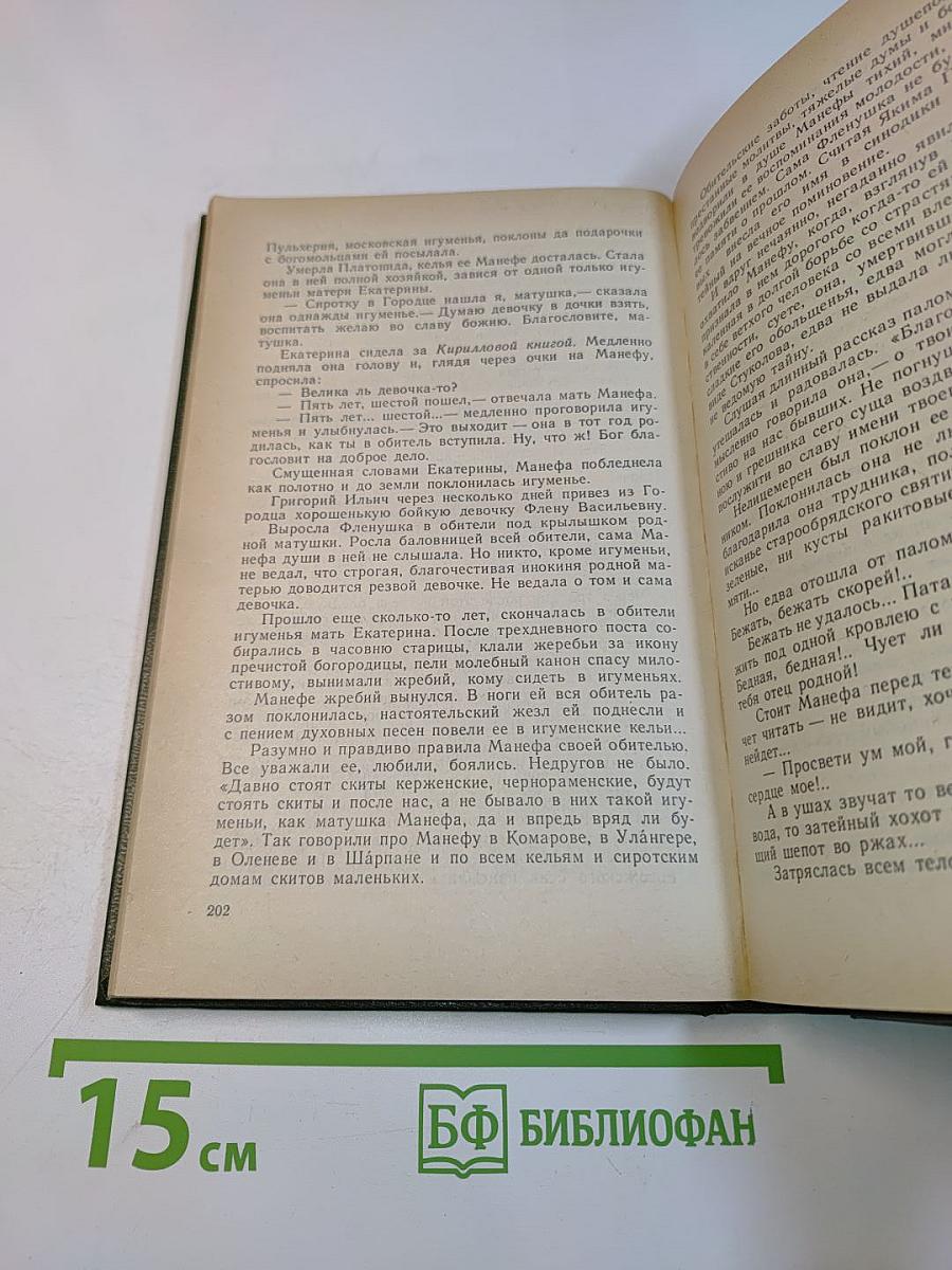 В лесах. Книга первая