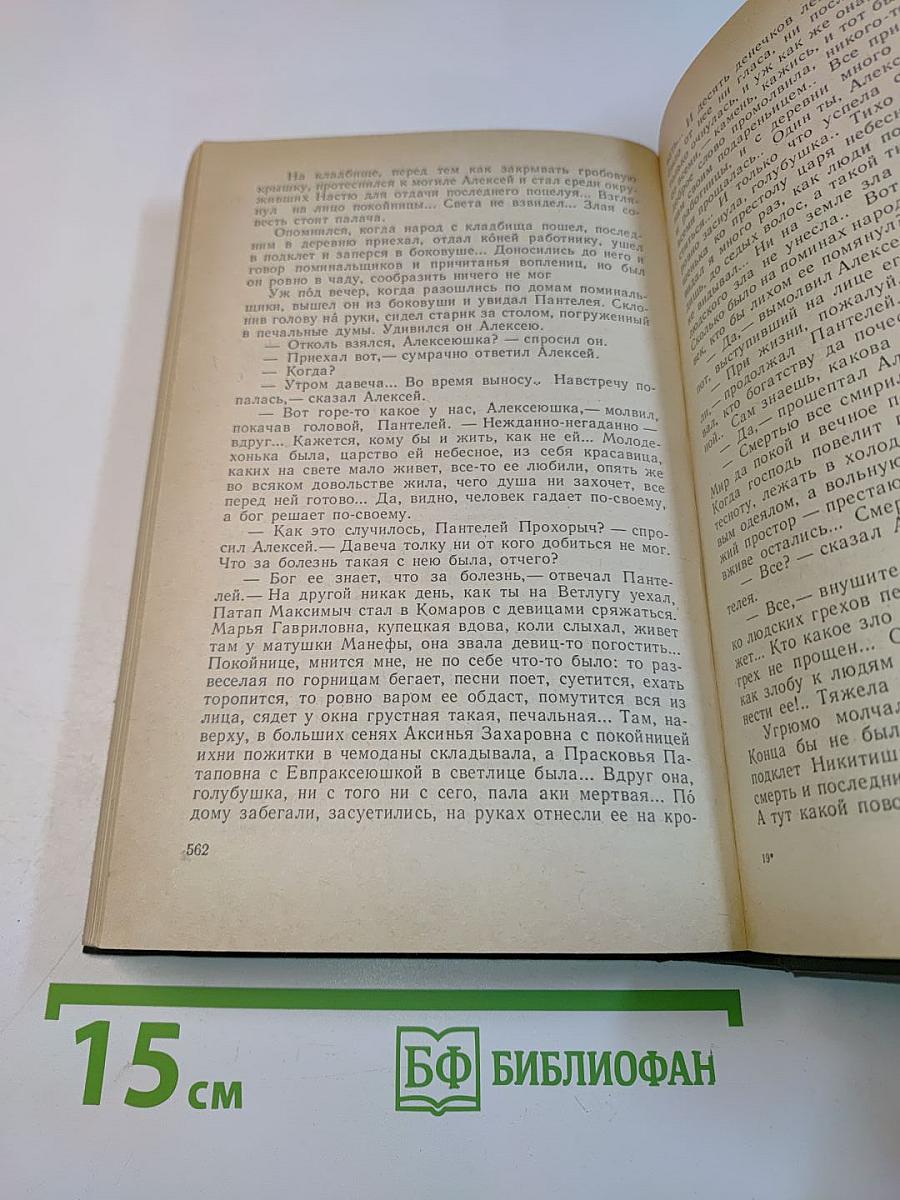 В лесах. Книга первая