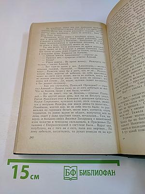В лесах. Книга первая